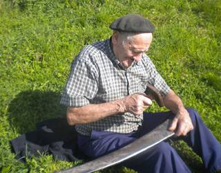 Antigoaleko Hiztegia: 'Pikatu', 'Uztao', 'Arrastelu, eskuare', 'Konfit, urineko', eta 'Pustilla, zarakar'