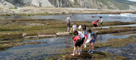 Marearteko biodibertsitatea ezagutzeko doako irteera, larunbatean