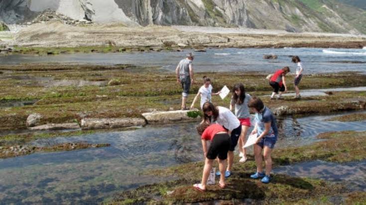 Marearteko biodibertsitatea ezagutzeko doako irteera, larunbatean
