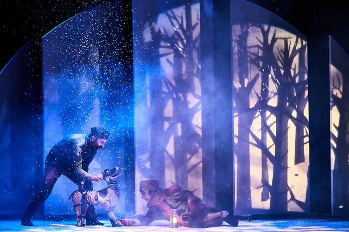 Laika lur hartzear da Baztartxon