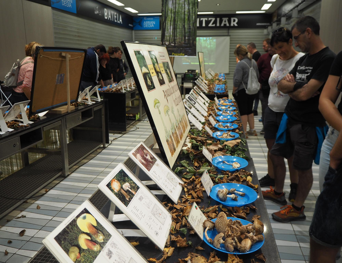 Natur Asteko hitzaldien ikus-entzunezkoak, ikusgai