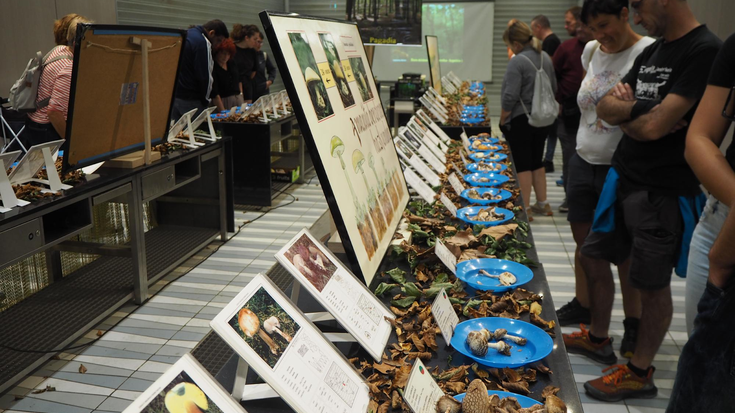 Natur Asteko hitzaldien ikus-entzunezkoak, ikusgai