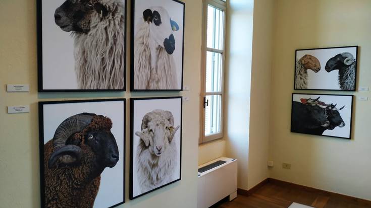 Oraindik ikusgai dago Nazioarteko Argazki Mostra