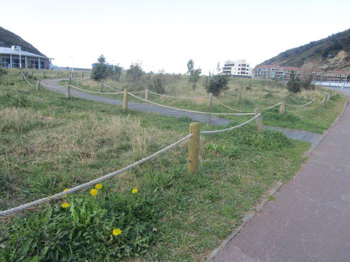 Arratoiak hiltzeko pozoia dela-eta, azalpenak eman ditu Orioko Udalak