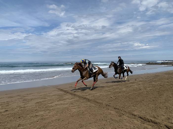Bertan behera geratu dira igandean jokatzekoak ziren zaldi lasterketak