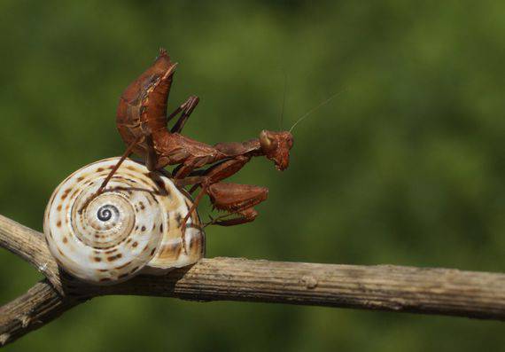 Antonio Valenciaren 'Beste zenbait zomorro', Betharramen