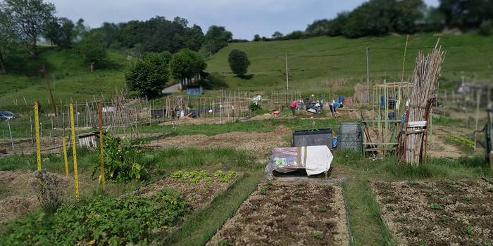 44 erabiltzaile berri, Zarauzko udal baratzeetan