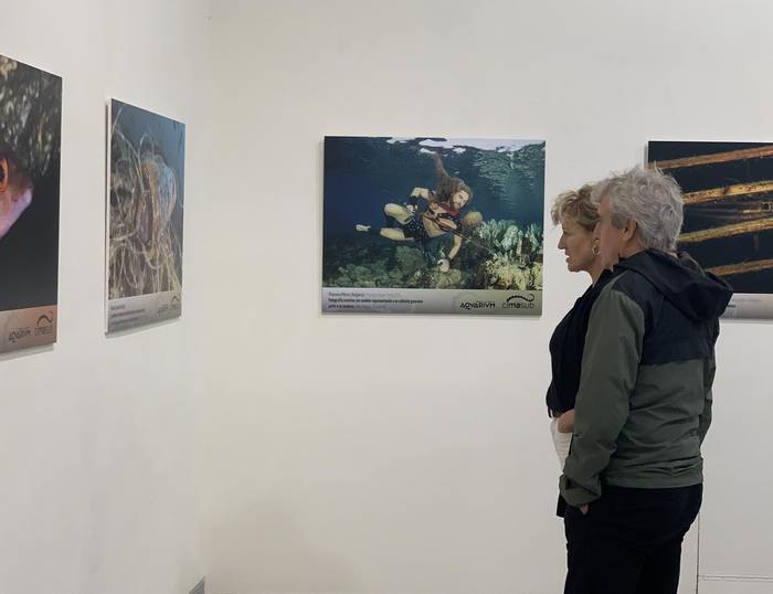 Gaur bisitatu ahalko da azkenekoz nazioarteko urpekaritzaren inguruko argazki erakusketa