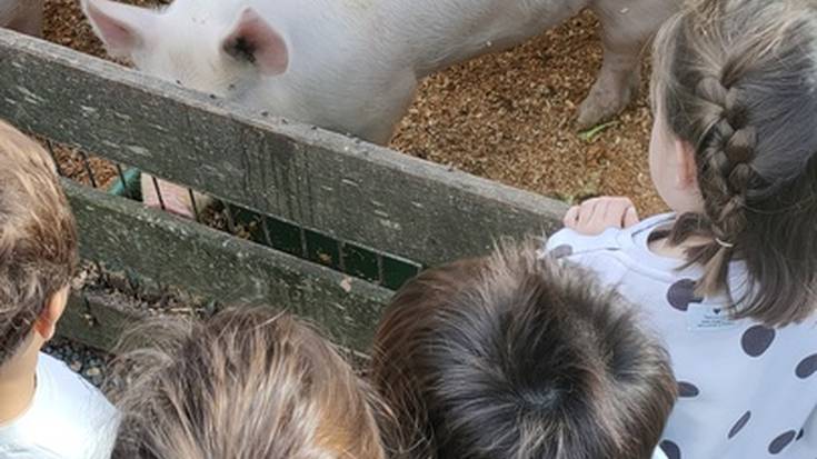 Sakona etxaldea eta arriskuan dauden animaliak ezagutzeko parada izan dute Ekoetxearen eskutik
