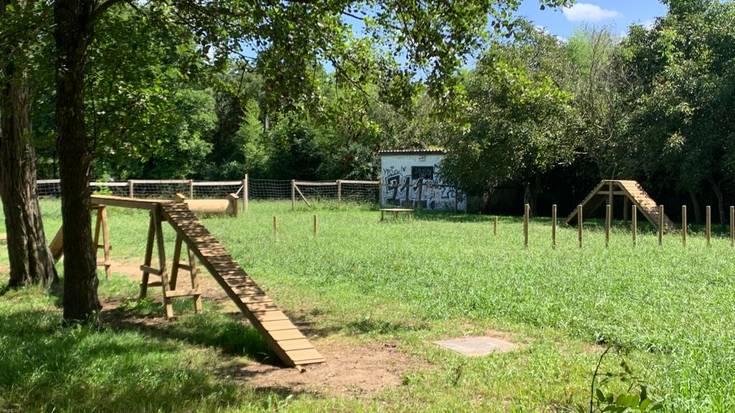 'Agility' zirkuitua jarri dute Astiko txakur parkean