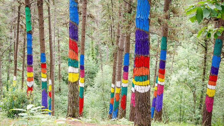 Oma basoaren inguruko erakusketa gaurtik aurrera ikusgai