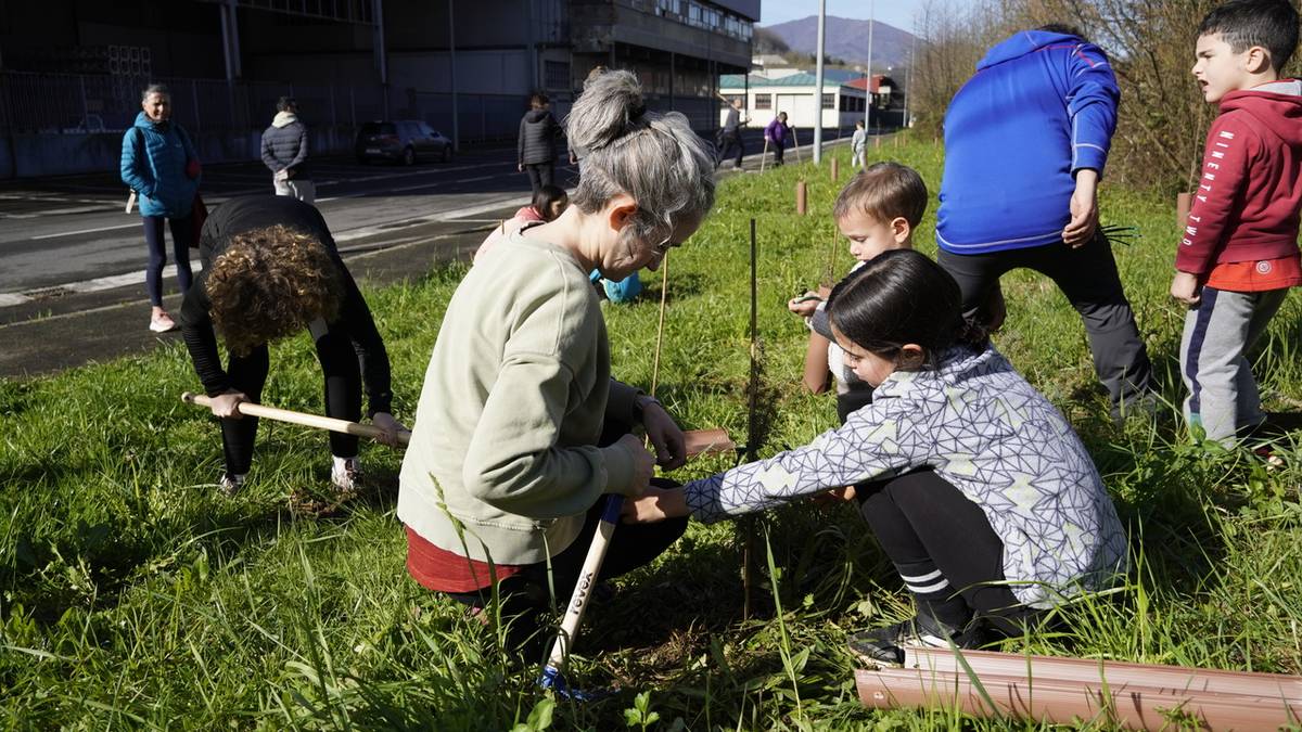 150 zuhaitz eta zuhaixka berri Landetako Gerratxiki kalean