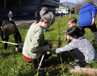 150 zuhaitz eta zuhaixka berri Landetako Gerratxiki kalean