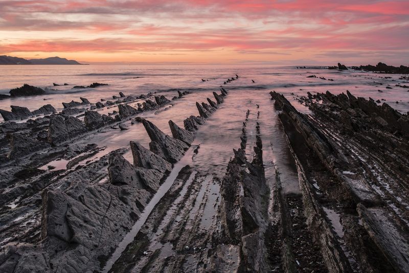 HARA! Sakonetaren argazki bat National Geographic-en webgunean