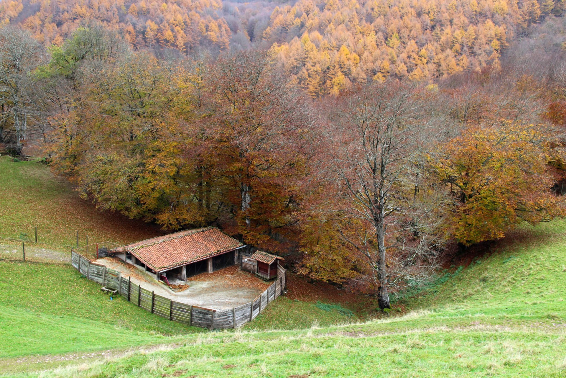 Apirilaren 1ean egingo dute Azpeitia-3EM egitasmoko laugarren etapa