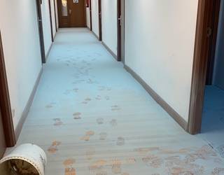 Kultur Etxean eta Azkoitia BHI ikastetxean su-itzalgailuak hustu izana gaitzetsi du udalak