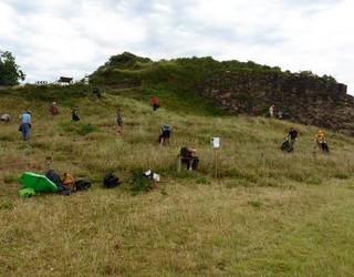 Landare inbaditzaileak kentzeko auzolana egingo dute larunbatean Santiagon