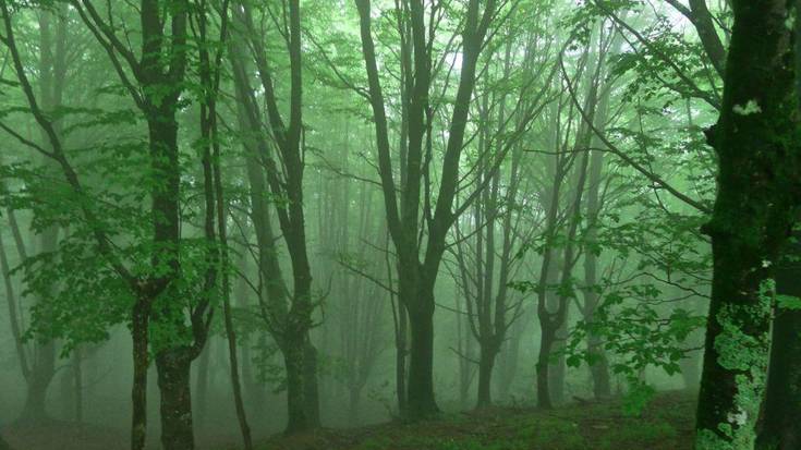 Arkamurkak antolatuta, Pagoetara irteera egingo dute bihar