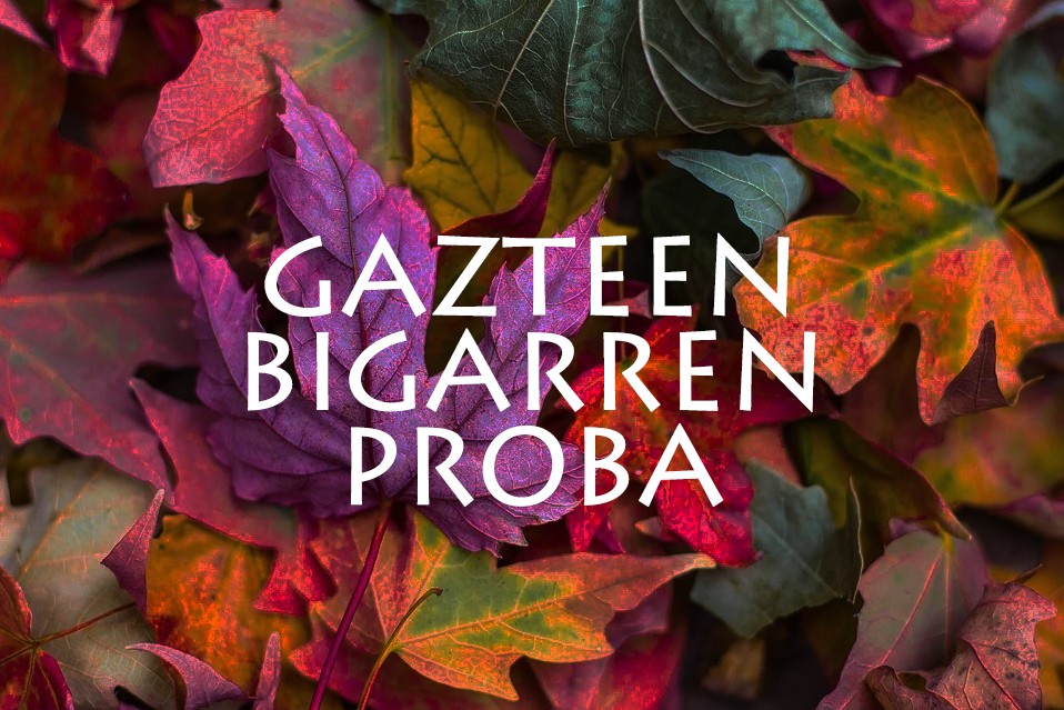 VI. Orbel Jokuetako gazteen bigarren proba