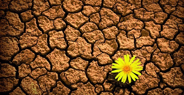 Erresilientzia eta superbibentzia