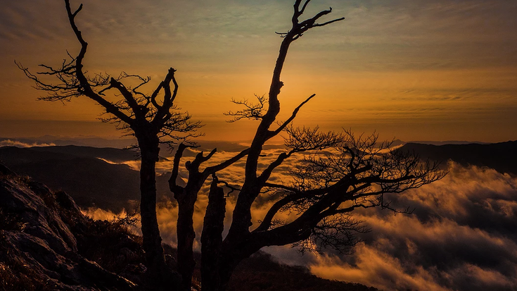 Sonia Alvarezek irabazi du Distiraren azaroko lehiaketa