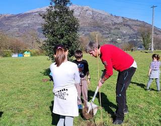 Martxoaren 1ean egingo dituzte aurtengo Zuhaitz Eguneko landaketak
