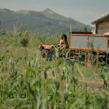 Aurkezpena: Baserritar misto profesionalen programa