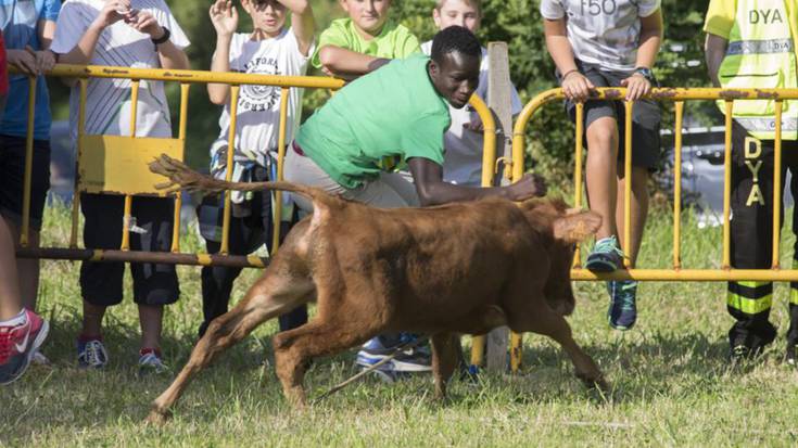 Giro ederrarekin hasi dira jaiak Artadin