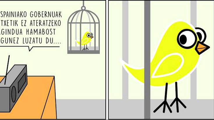 'Urola Kostako Hitza' egunkarirako binetak egiten hasi da Enok