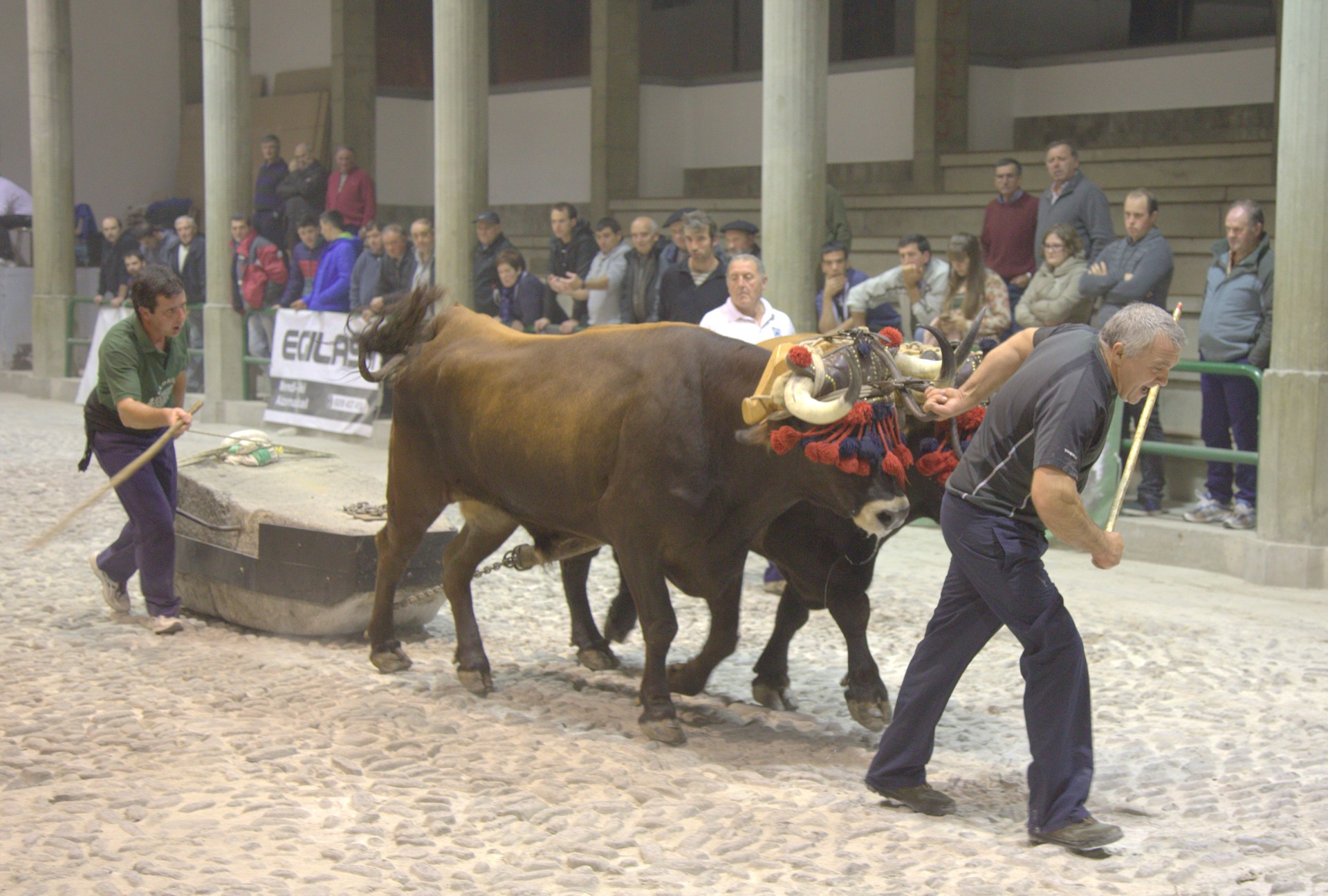 Gaur jakingo da txapelduna nor den