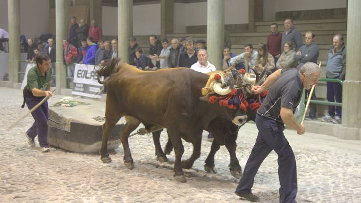 Gaur jakingo da txapelduna nor den