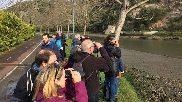 Hegaztiak behatzen ikasteko irteera gidatua egin dute gaur goizean