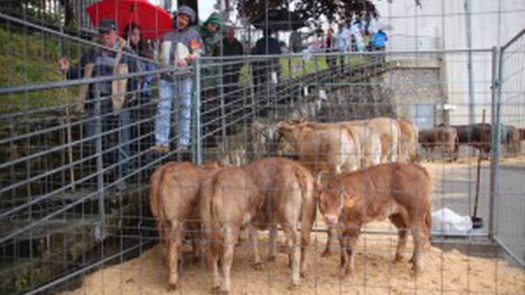 Asentzioko Feria izango da igandean Aian