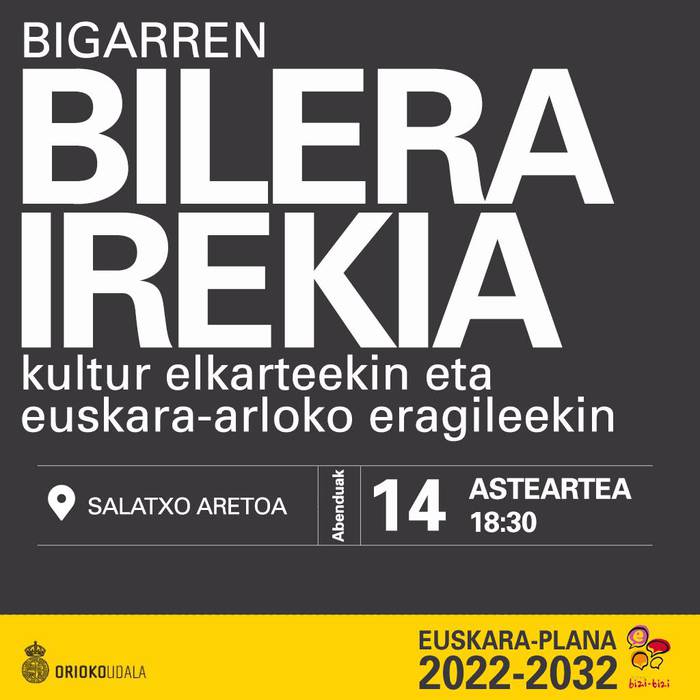 Euskara Plana: kultura eta euskara arloetako eragileekin bigarren bilera