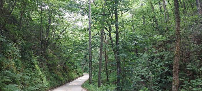 Txango botanikoa egingo dute igandean Mutrikun, Geoparkeen Asteari amaiera emateko