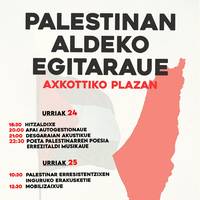 Palestinaren aldeko egitaraua