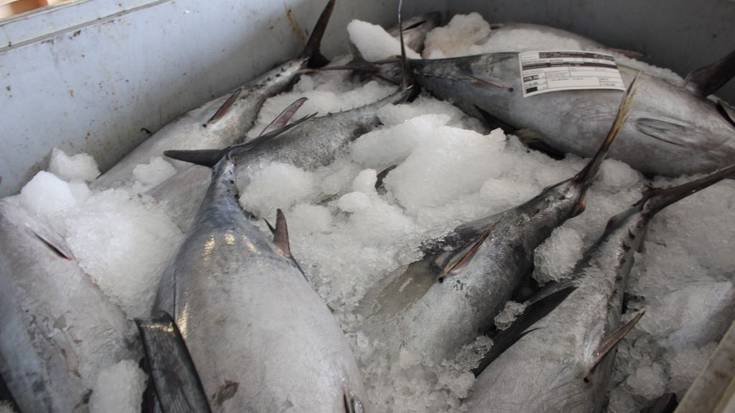 Amaitu da hegaluzearen kanpaina, ohikoa baino bi hilabete lehenago 