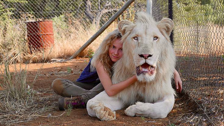 'Mia y el león blanco' filma emango dute ostiralean hondartzan