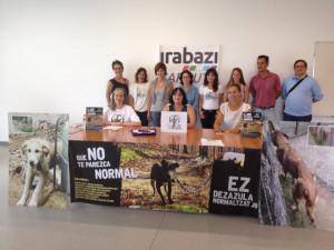 Irabazi Zarautzek eta animalien babeserako taldeek animalienganako ustezko indarkeria kasua azter dezan eskatu diote Zarauzko Udalari