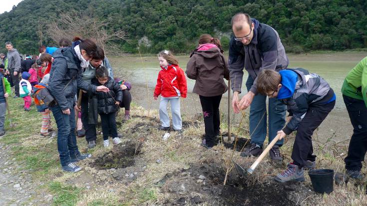 Herrian zehar zuhaitzak landatuko dituzte larunbatean, Zuhaitz Egunean
