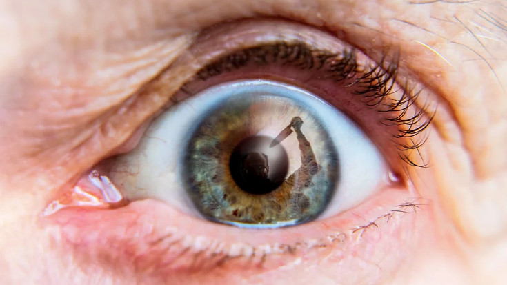 Distiraren Lehiaketa Sozialaren abenduko argazkiak eta saridunak