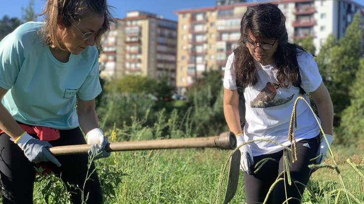 Landare inbaditzaileak kentzeko auzolana egin dute Iritan