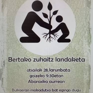 Bertako zuhaitzen landaketa