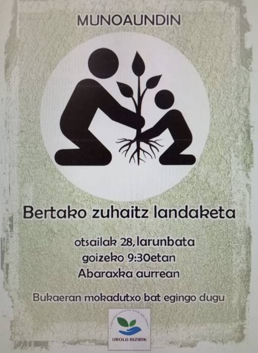 Bertako zuhaitzen landaketa