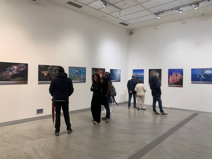 Igandera arte bisitatu ahal izango da Cimasubeko argazki erakusketa, Oxford aretoan