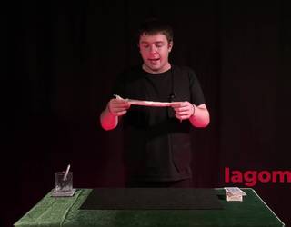 Tatxan: kolorez aldatzen den zapia