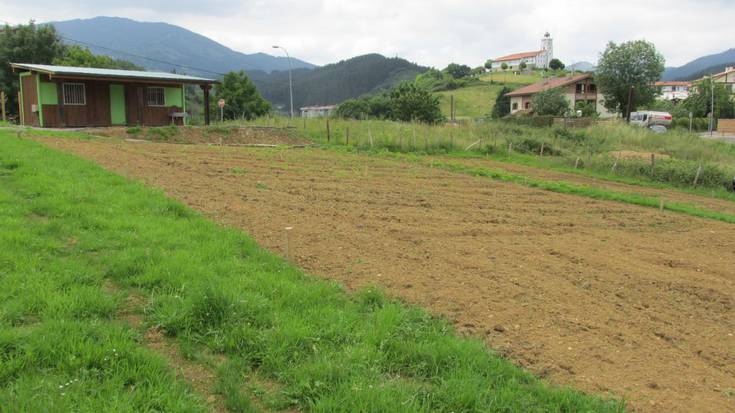 Furgobaratza zerbitzua eta ikastaro bat izango dira astelehenean, Azkoitian