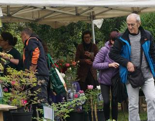 Boluntarioak behar dituzte Aiako Landare Berezien Azokarako