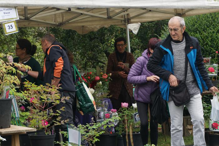 Boluntarioak behar dituzte Aiako Landare Berezien Azokarako