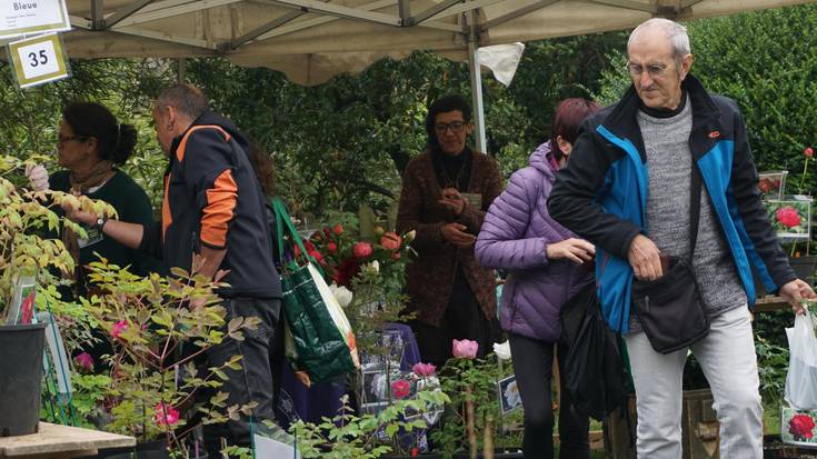 Boluntarioak behar dituzte Aiako Landare Berezien Azokarako